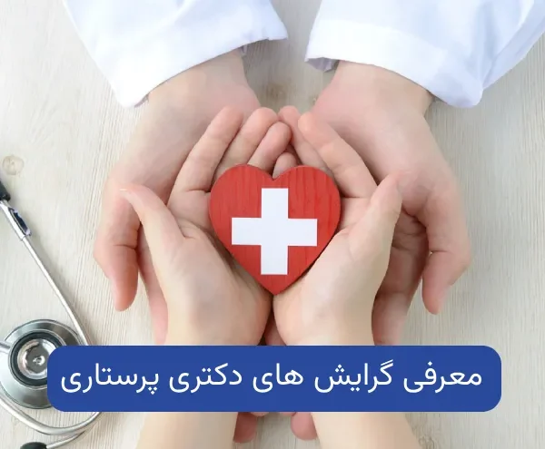 بررسی گرایش های دکتری پرستاری